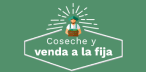 Cosecha y venda a la fija